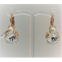 Mariana Jewellery E-1037R 139001 Earrings