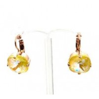 Mariana Jewellery E-1326/4 141 Earrings 