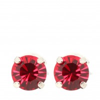 Mariana Jewellery E-1440 227 RO2 Rhodium Earrings